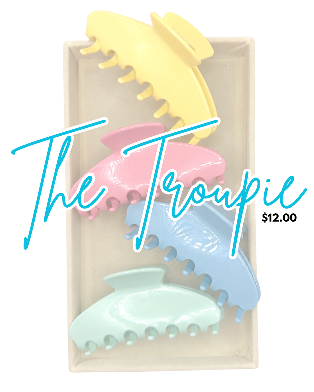 The Troupie