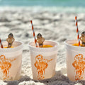Go Vols! Stadium Cup Set